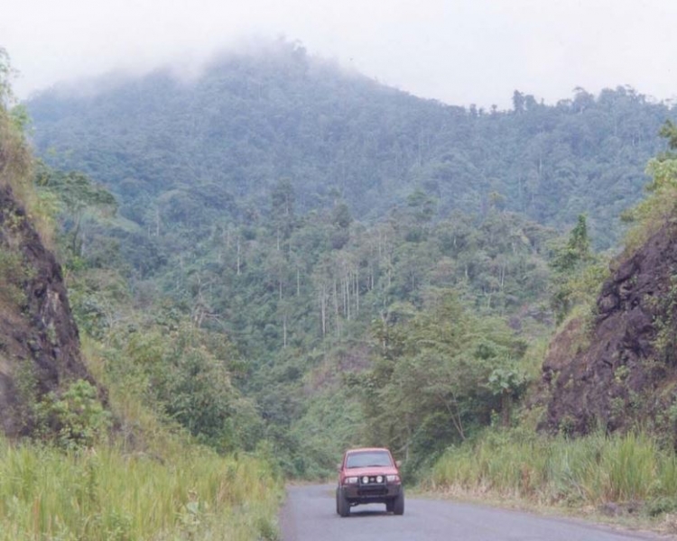 Bosque Protector Cerro Pata de Pájaro
